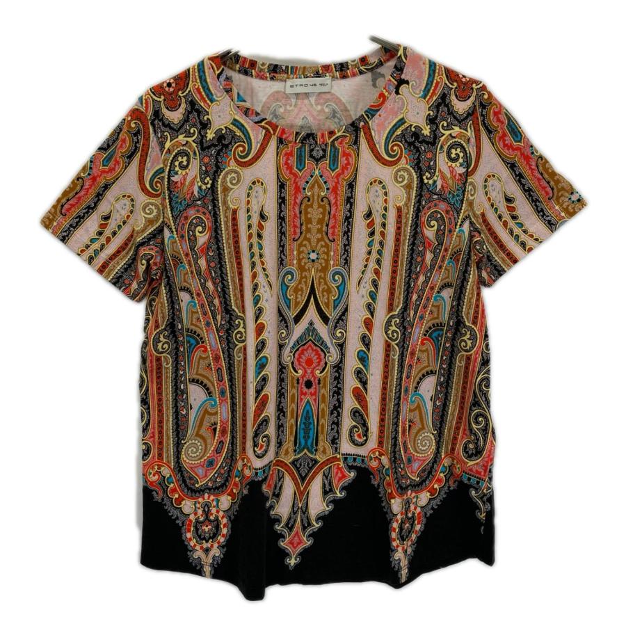 ETRO（エトロ） マルチカラー ペイズリー柄 半袖Tシャツ マルチカラー