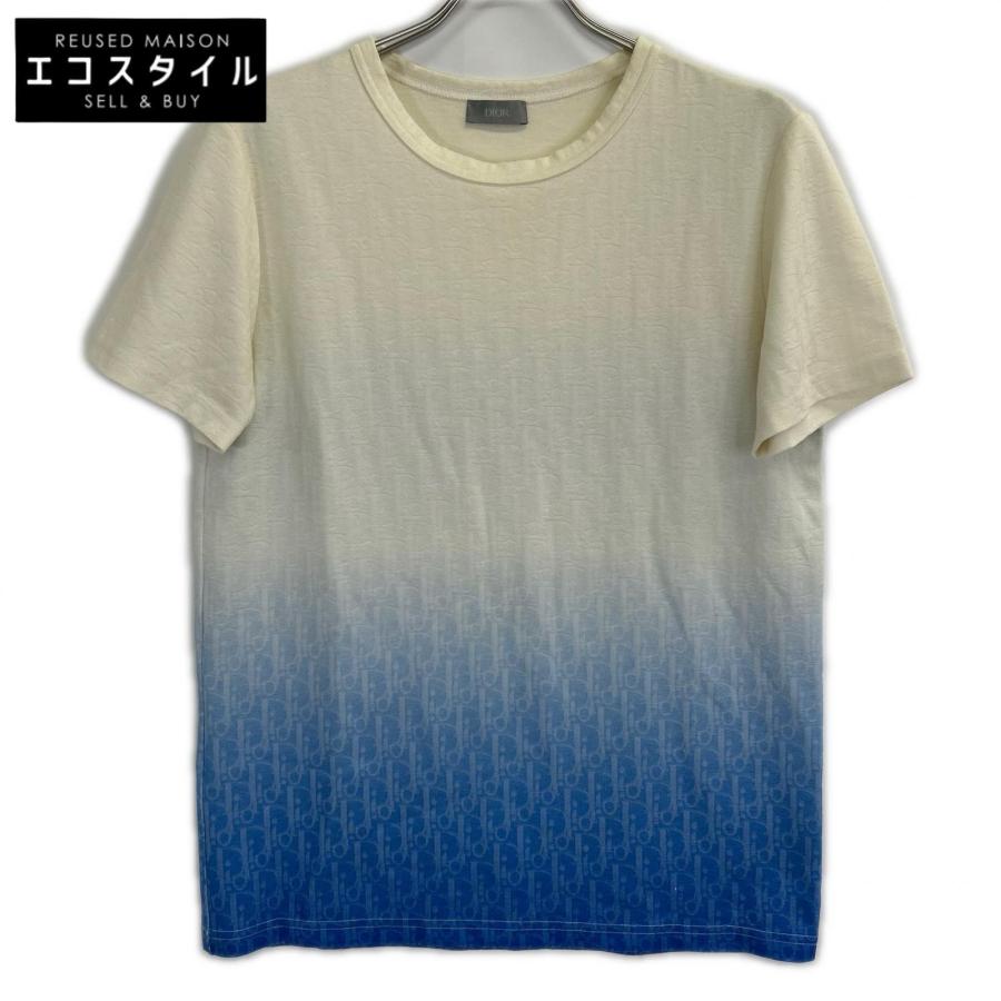美品 国内正規 Dior HOMME ディオールオム 023J600B0624 20AW