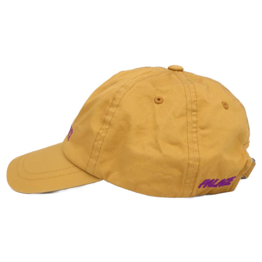 ARC'TERYX（アークテリクス） x PALACE SKATEBOARDS パレススケート