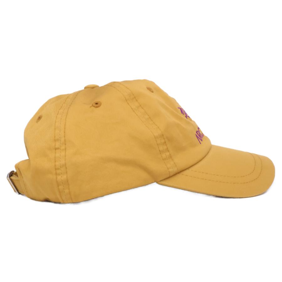 ARC'TERYX（アークテリクス） x PALACE SKATEBOARDS パレススケート