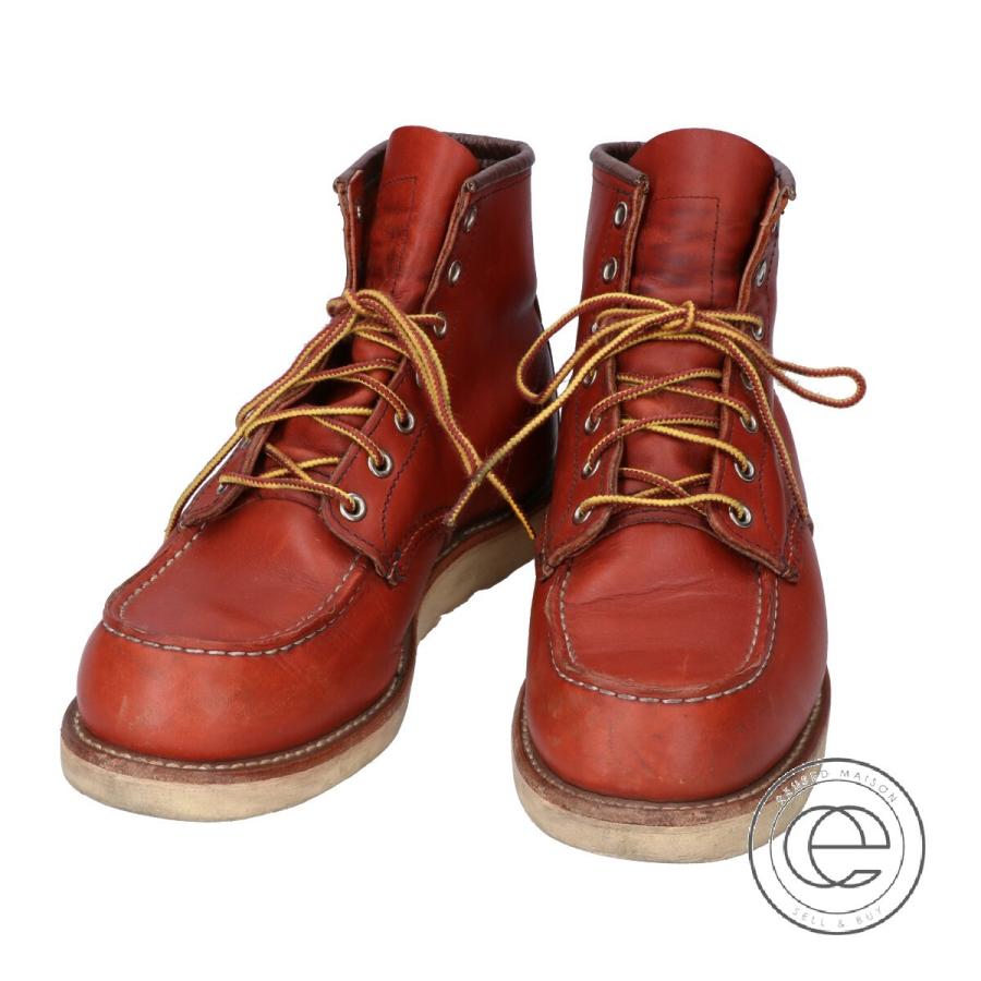 irish setter king toe