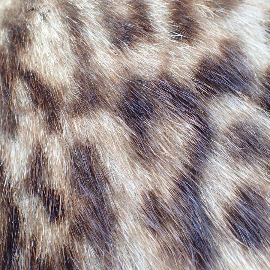 美品/ SAINT LAURENT PARIS サンローランパリ エディ期 レオパード柄