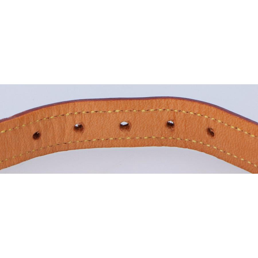 LOUIS VUITTON ルイ・ヴィトン M58070 コリエ・バクスターGM ドッグ