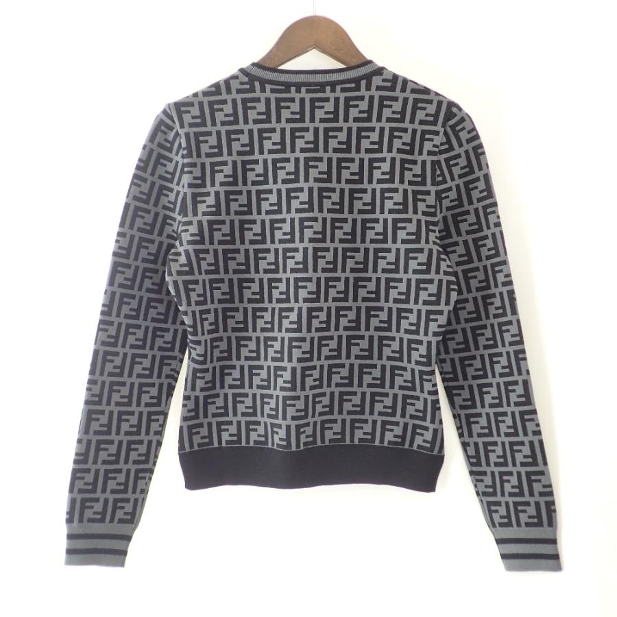 FENDI（フェンディ） 国内正規/美品/ FZY703A5QG ズッカ柄 プル 