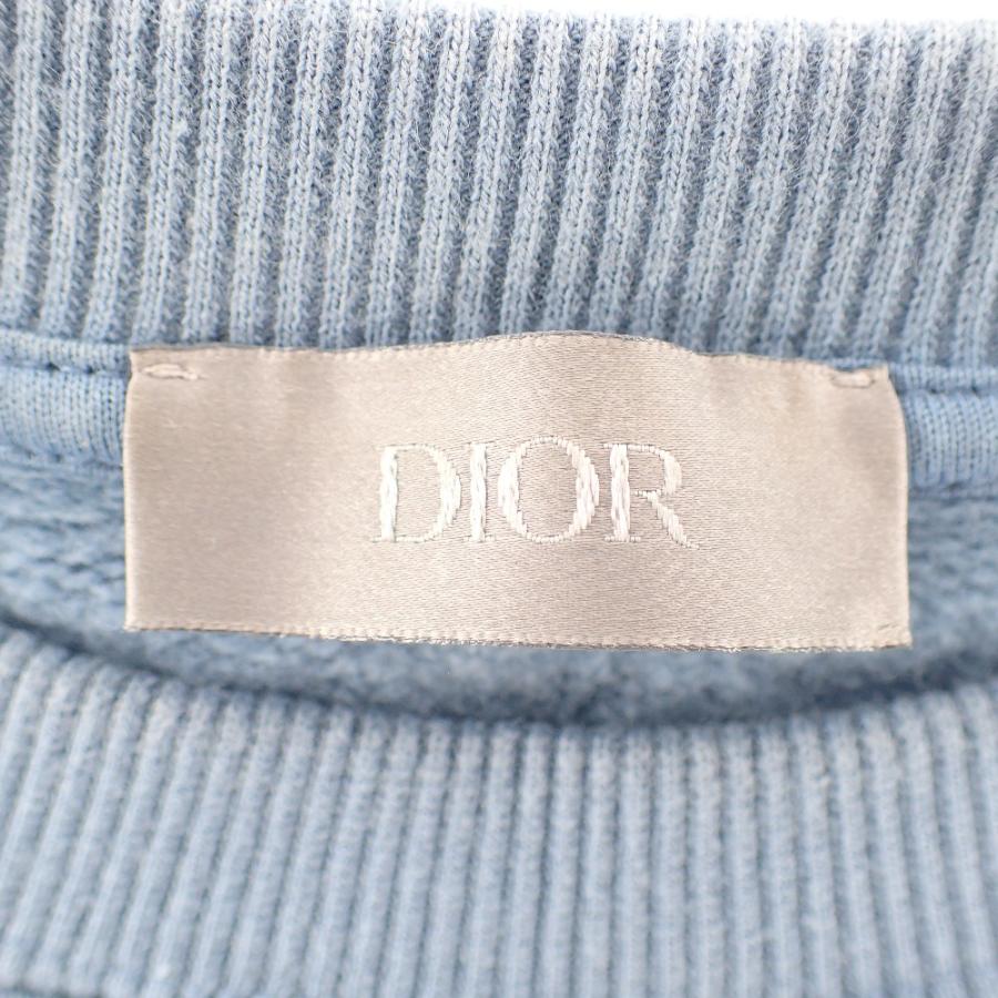 美品/国内正規/21AW DIOR HOMME ディオール オム x PETER DOIG 美品/国内正規/21AW DIOR HOMME ディオール オム x PETER DOIG