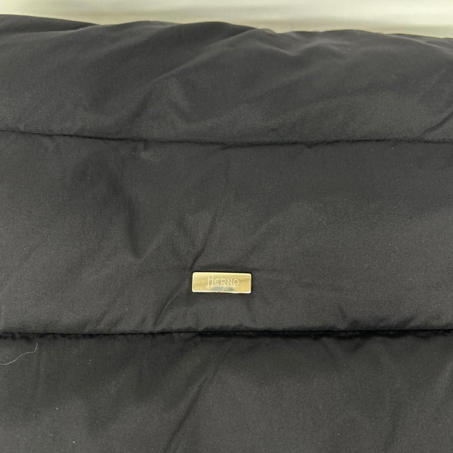 HERNO ヘルノ P10506D ブラック スタンドカラーダウンジャケット 46 HERNO（ヘルノ） P10506D ブラック スタンドカラーダウンジャケット