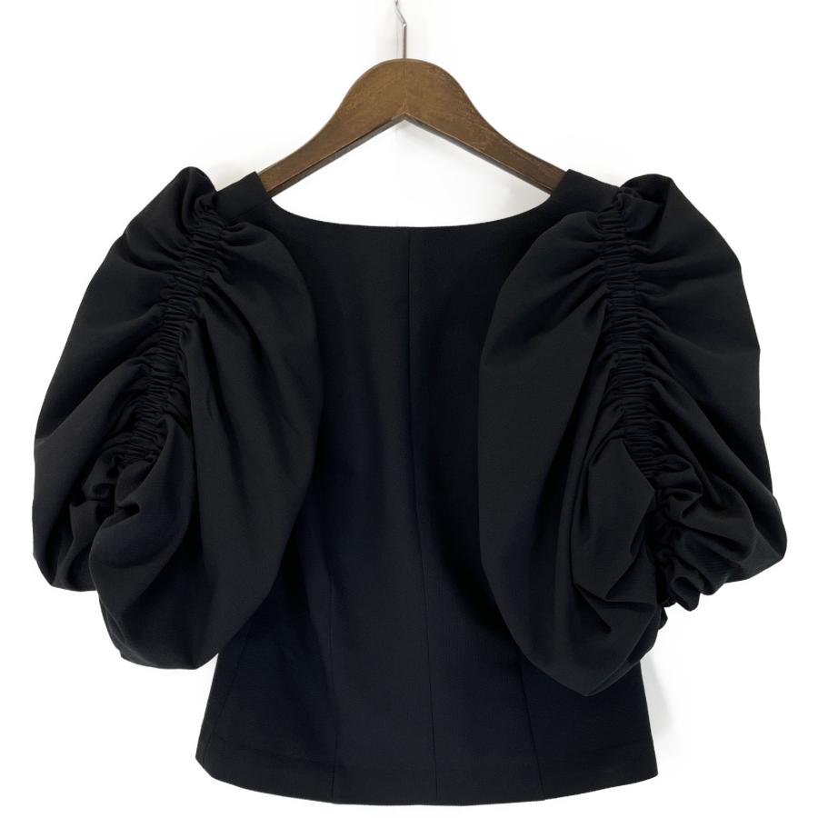 cygne　シーニュ　シフォンフリルブラウス　黒　ブラック 新品 Cygneシーニュ フリルブラウス cygne シーニュ シフォンフリル