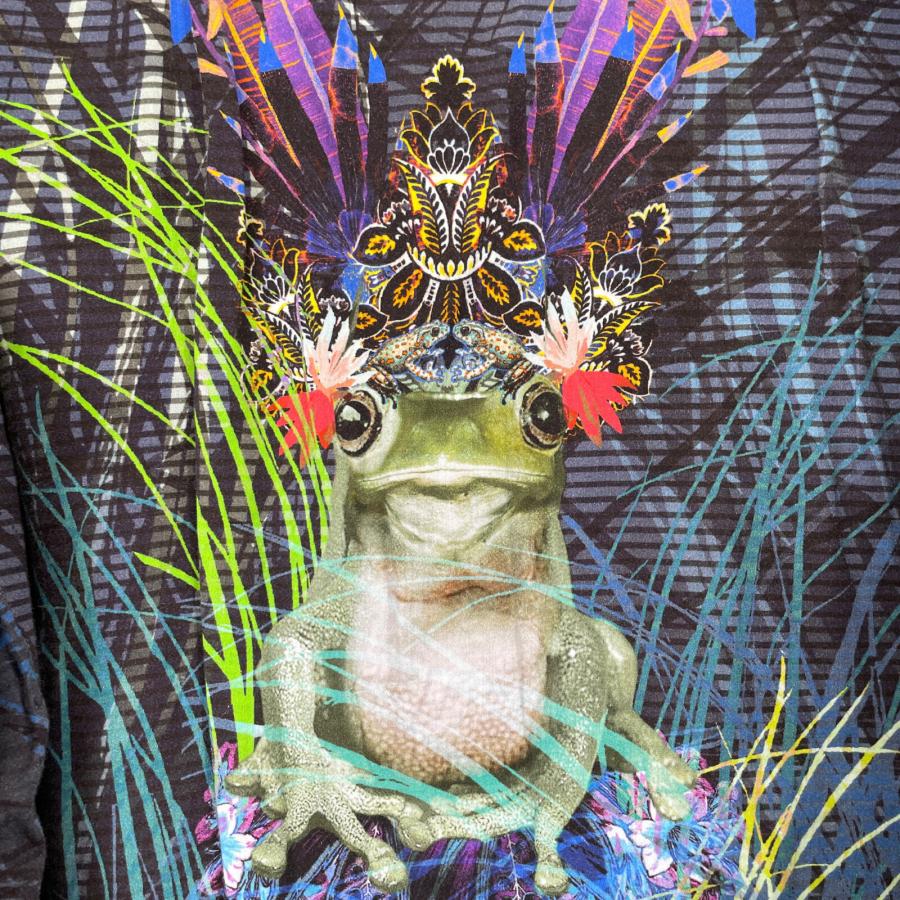 ETRO（エトロ） 181-1187Q-1061 ブルー チェック 裏地カエルプリント