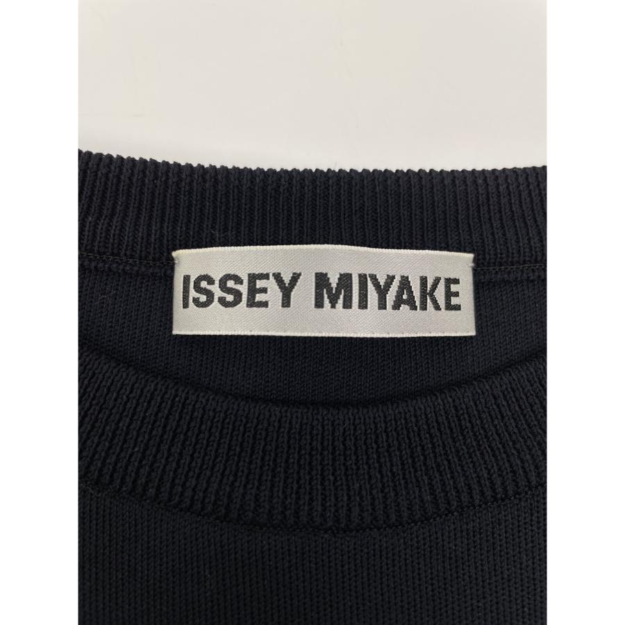 ISSEY MIYAKE イッセイミヤケ 21AW IM13KH261 ブラック アセテート  