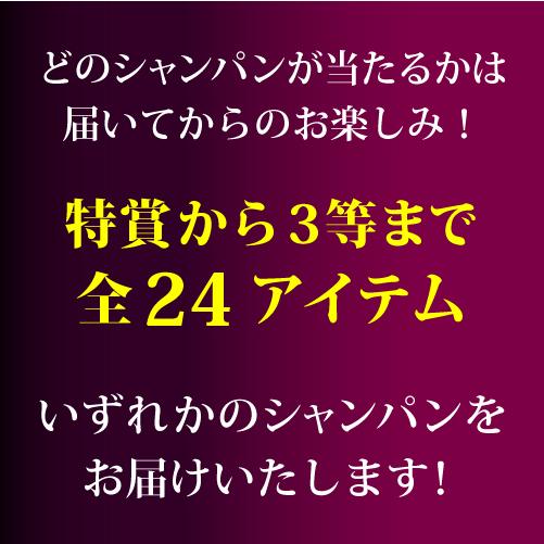 シャンパン 高級 シャンパンを探せ プレミアム シャンパンくじ 94弾 特賞は2種類 先着400本 福袋 Wくじ｜wine-naotaka｜05