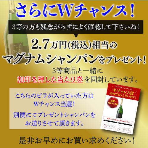 シャンパン 高級 シャンパンを探せ プレミアム シャンパンくじ 94弾 特賞は2種類 先着400本 福袋 Wくじ｜wine-naotaka｜06