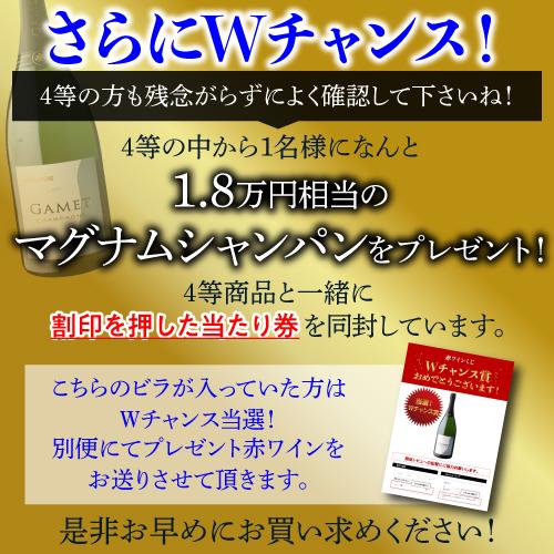 赤ワイン 高級ワインを探せ 赤ワインくじ シャトー ムートン (2017)が当たるかも ?  先着300セット 赤ワイン福袋 Ｗくじ｜wine-naotaka｜06