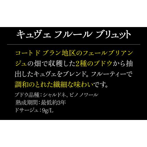 シャンパン シャンパーニュ P+10% 送料無料 A.ベルジェール キュヴェ フルール 750ml フランス 花柄 ギフト おすすめ 浜運A｜wine-naotaka｜06