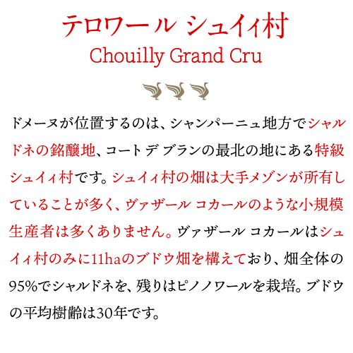 ヴァザール コカール 82/17 エクストラブリュット 750ml フランス シャンパン シャンパーニュ シュイィ グランクリュ 限定品 浜運Aの画像