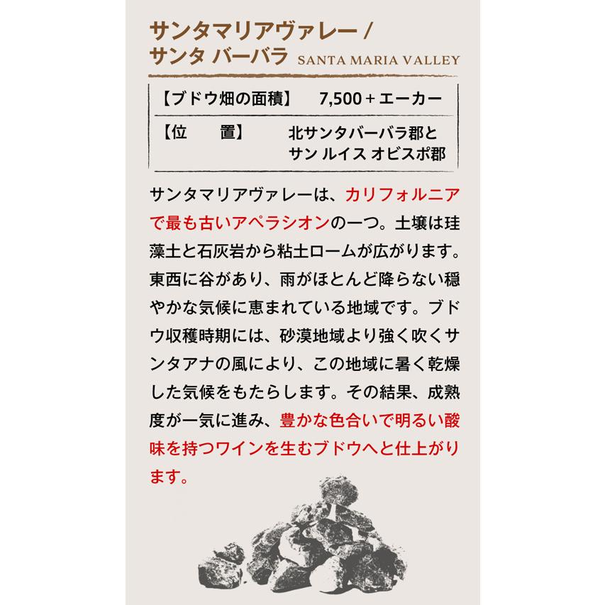 赤ワイン ボーエン ロシアンリヴァーバレー ピノノワール 2021 750ml アメリカ カリフォルニア ソノマ AVA ケイマス 浜運 あすつく  ギフト｜wine-naotaka｜11