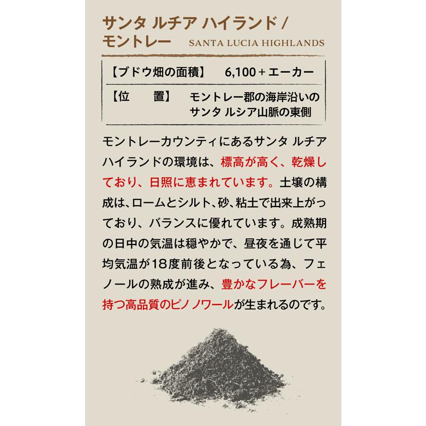 赤ワイン ボーエン サンタマリアバレー ピノノワール 2018 750ml アメリカ カリフォルニア サンタバーバラ AVA 浜運 あすつく｜wine-naotaka｜12