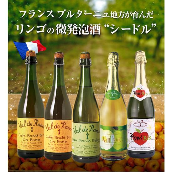 スパークリングワイン シードル ヴァル ド ランス クリュ ブルトン ブリュット 辛口 750ml フランス白 泡 リンゴ 長S｜wine-naotaka｜03