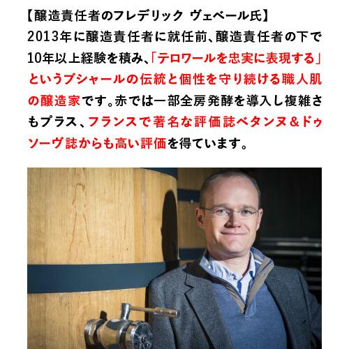 白ワイン シャサーニュ モンラッシェ ブラン 2017 ブシャール ペール