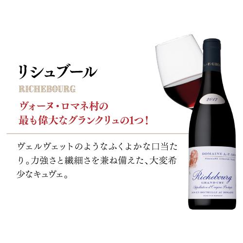 赤ワイン リシュブール 2017 アンヌ フランソワ−ズ グロ 750ml