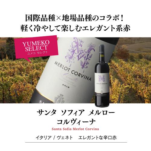 1本当たり1,998円(税込) 送料無料 ディヴィーノ＆当店コラボ 