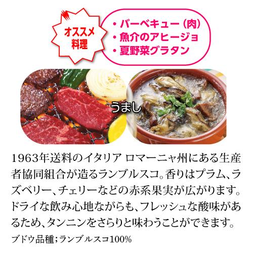 ワインセット 1本あたり1,495 円(税込) 送料無料 しっかり冷やして楽しむ赤スパークリングワインセット 750ml 4本入 赤泡セット レッドスパークリング 長S｜wine-naotaka｜12