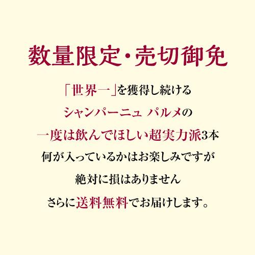 シャンパン3本福袋 ワイン 生産者別に楽しむ パルメ 3本 3.5万円(税別)福袋 シャンパーニュ おひとり様1セット限定 浜運