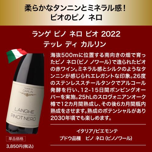 南アフリカ「トップ10生産者」が手掛けた赤！1本あたり1,600円(税込) 送料無料 赤鬼コスパワイン9本 おまけ付 57弾 ワインセット 赤ワイン 飲み比べ 赤 浜運Aの画像