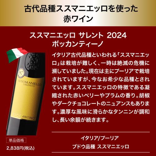 南アフリカ「トップ10生産者」が手掛けた赤！1本あたり1,600円(税込) 送料無料 赤鬼コスパワイン9本 おまけ付 57弾 ワインセット 赤ワイン 飲み比べ 赤 浜運Aの画像