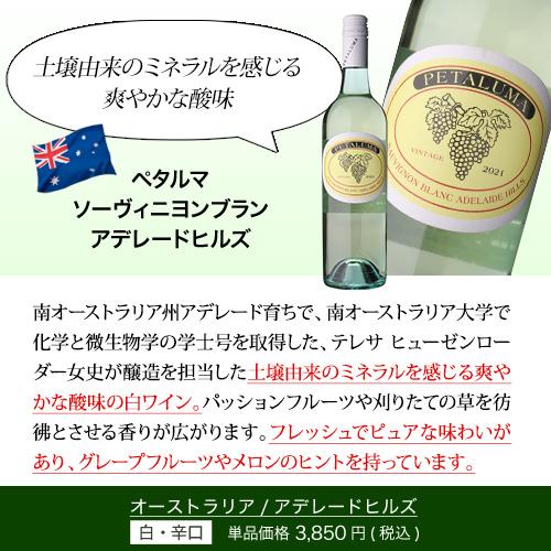 ワインセット 白セット  1本あたり2,200(税込 送料無料 世界のソーヴィニヨン ブラン 飲み比べ 5本セット 第5弾 白 ワイン セット 品種 浜運A｜wine-naotaka｜08