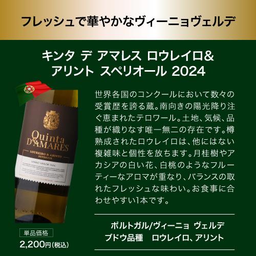 ワイン ワインセット 白  目玉は高級サンセール！1本あたり1,600円 送料無料 白鬼コスパワイン9本+1本セット 47弾 浜運Aの画像