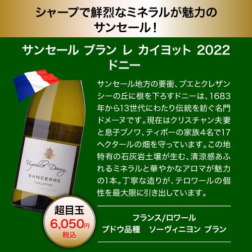 ワイン ワインセット 白  目玉は高級サンセール！1本あたり1,600円 送料無料 白鬼コスパワイン9本+1本セット 47弾 浜運Aの画像