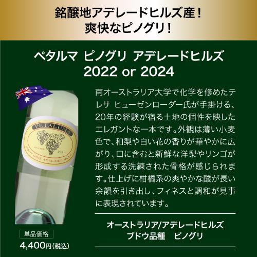 ワイン ワインセット 白  目玉は高級サンセール！1本あたり1,600円 送料無料 白鬼コスパワイン9本+1本セット 47弾 浜運Aの画像