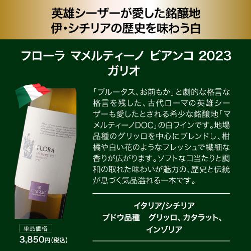 ワイン ワインセット 白  目玉は高級サンセール！1本あたり1,600円 送料無料 白鬼コスパワイン9本+1本セット 47弾 浜運Aの画像