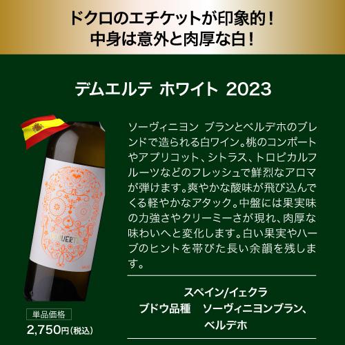 ワイン ワインセット 白  目玉は高級サンセール！1本あたり1,600円 送料無料 白鬼コスパワイン9本+1本セット 47弾 浜運Aの画像