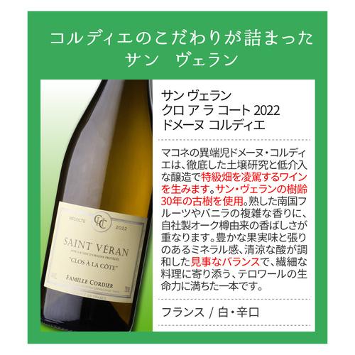 1本あたり5,600円(税込) 送料無料 村名ブルゴーニュ 白ワイン 3本
