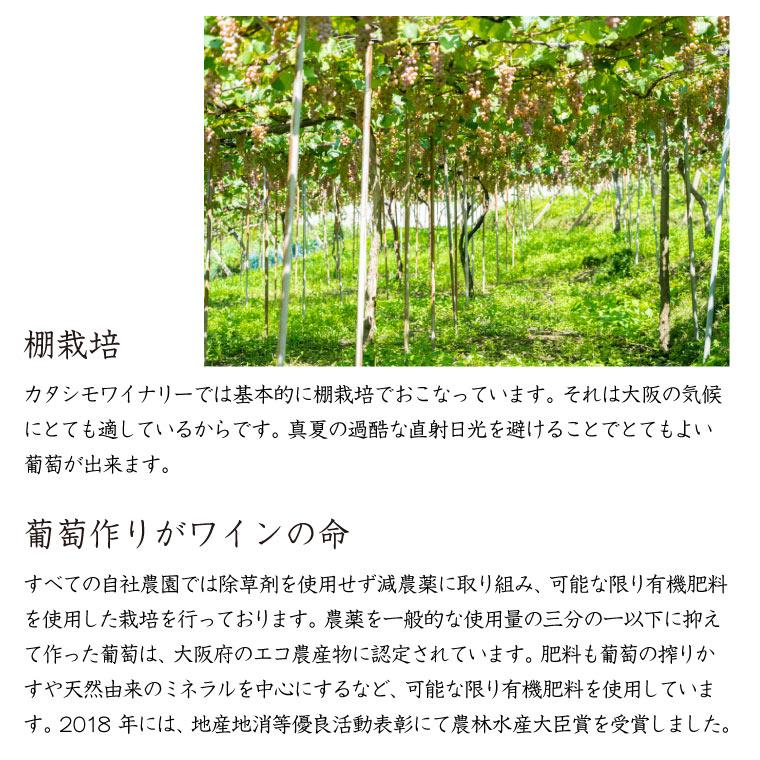 2024国産ヌーヴォー】カタシモワイナリー マスカットベリーA葡萄 2024国産ヌーヴォー】カタシモワイナリー マスカットベリーA葡萄