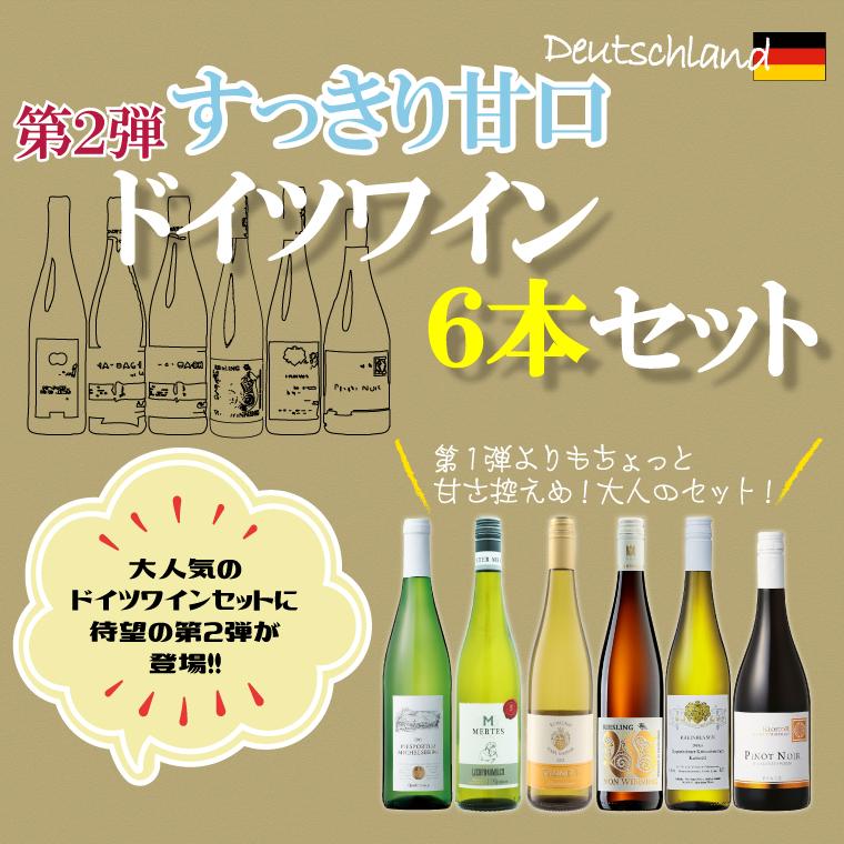 第2弾】第1弾より甘さ控えめ！厳選ドイツワインセット 750ml×6本