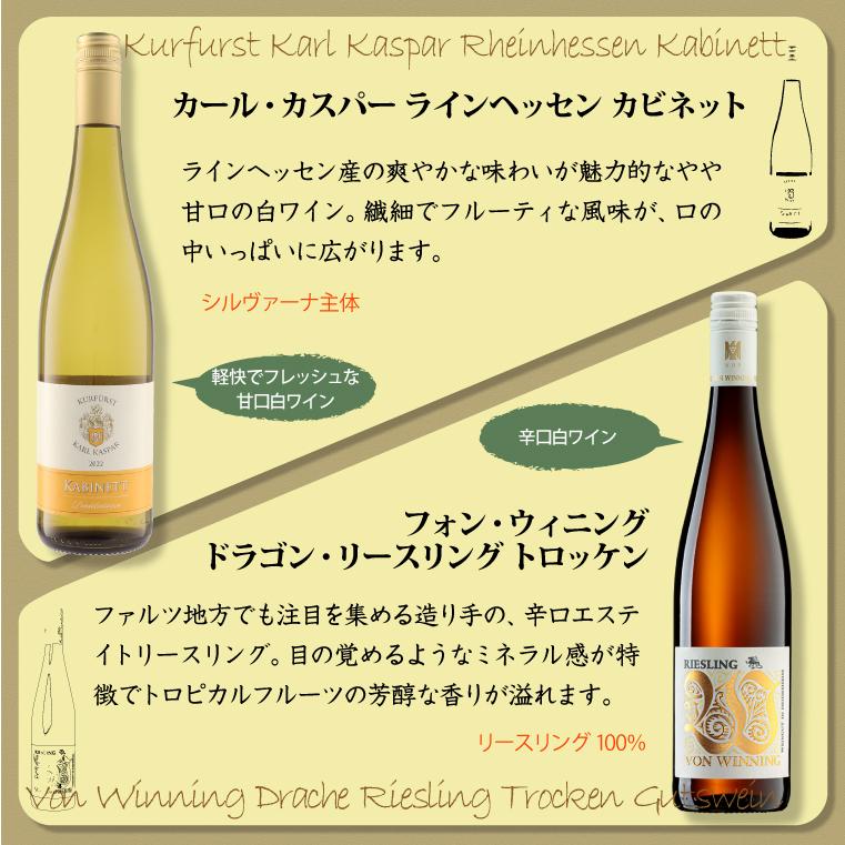 第2弾】第1弾より甘さ控えめ！厳選ドイツワインセット 750ml×6本