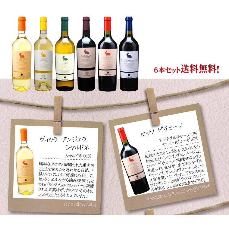ヴェレノージ スタンダードを超えたスタンダード6本セット 750ml×6本