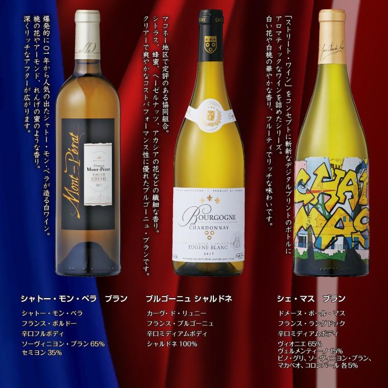 肌触りがいい シャトーモン ペラも入った フランスまるごと満喫ワイン６本セット 750ml 6本 最適な価格 Www Tiebreak Fr