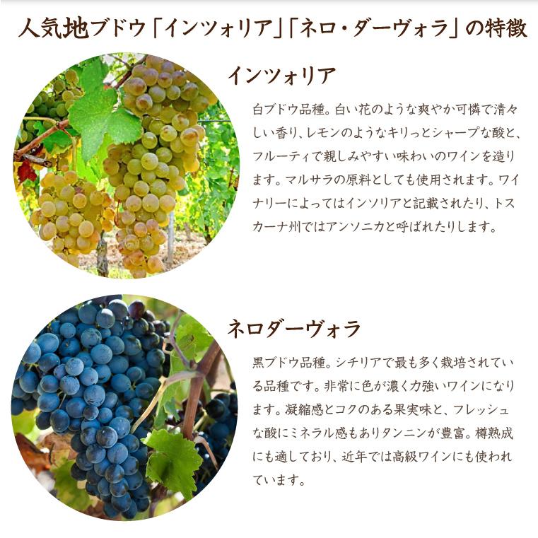 イタリア シチリア島 人気地ブドウワイン飲み比べ６本セット 750ml 6本 インツォリア ネロ ダーヴォラがとことん楽しめるワインセット Et 159 ワイン本舗ヴァン ヴィーノ 通販 Yahoo ショッピング