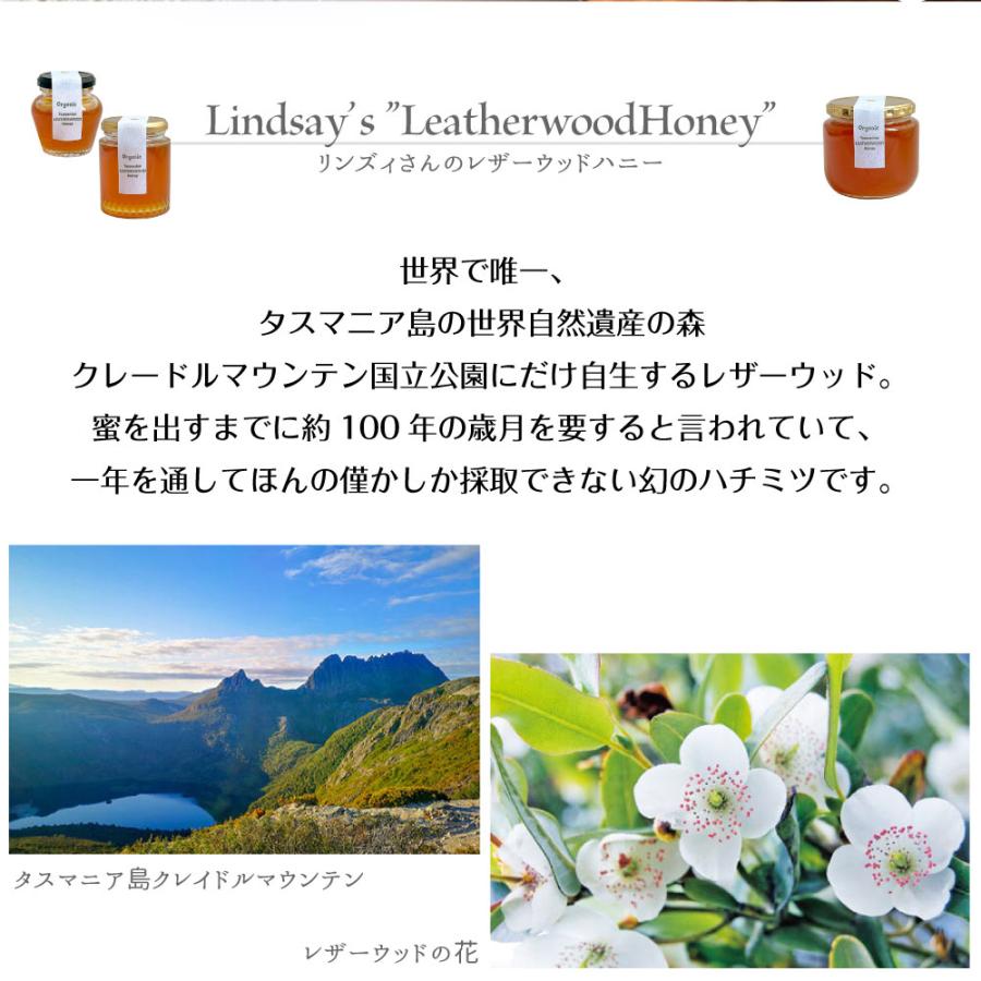 【ケース売り】オーガニック レザーウッドハニー 500g×12 タスマニア産 蜂蜜 リンズィ・バーク氏 有機 ハチミツ はちみつ 濃厚 純粋 非加熱 オーストラリアの画像