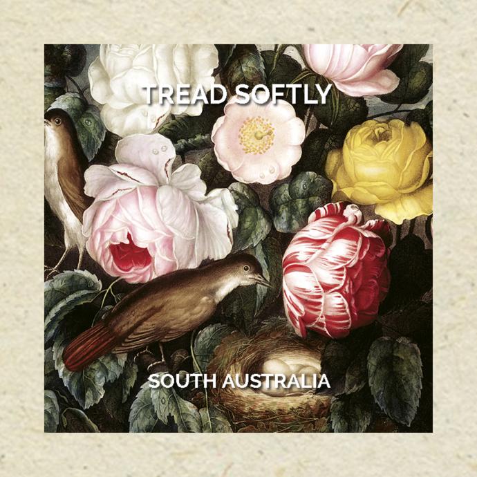 トレッド・ソフトリー ソーヴィニヨン・ブラン | オーストラリア産 白