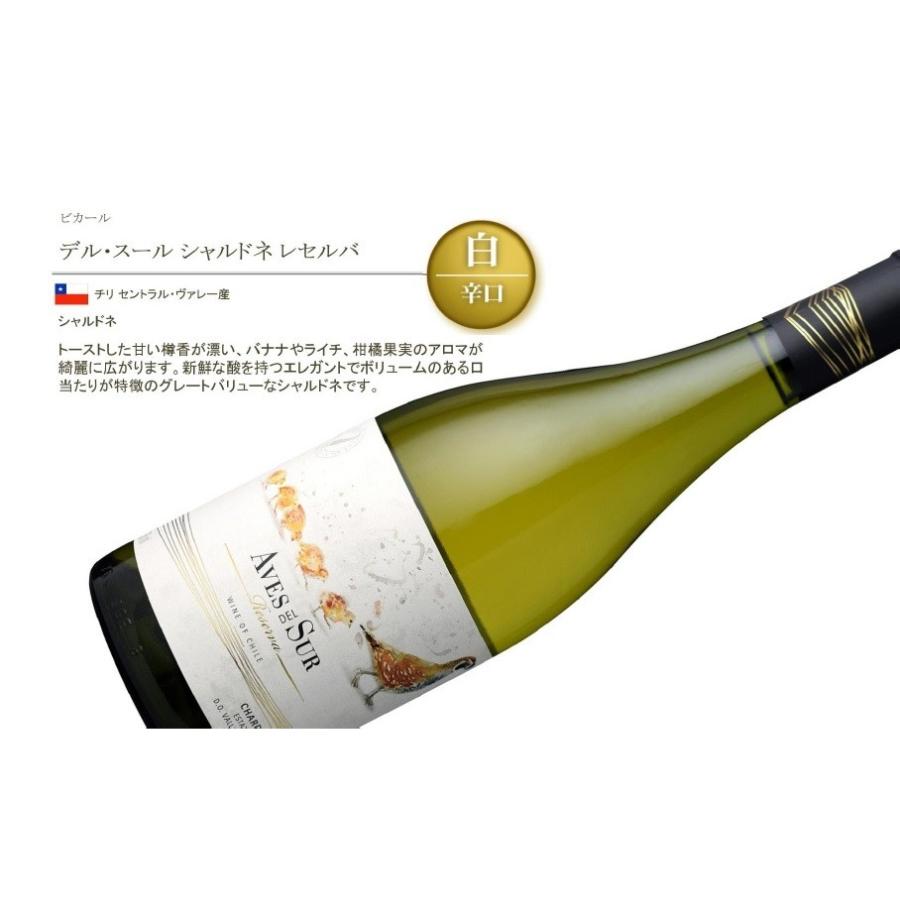 送料無料 金賞ワイン デル スール 赤白セット ワインショップ Y M ヤフー店 通販 Yahoo ショッピング