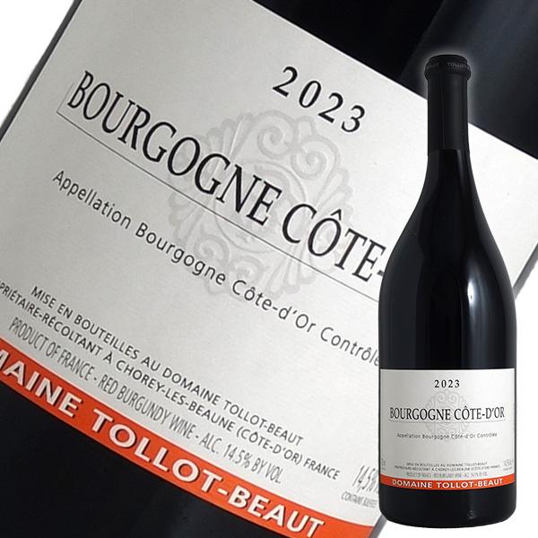 ニコラフォール ブルゴーニュルージュ 2023 2本セット ニコラフォール