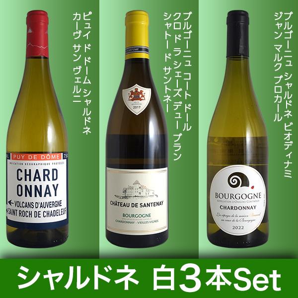 (送料無料)シャルドネ白ワイン3本セット(A) コスパ抜群の優良生産者を厳選｜winecellarescargot｜03