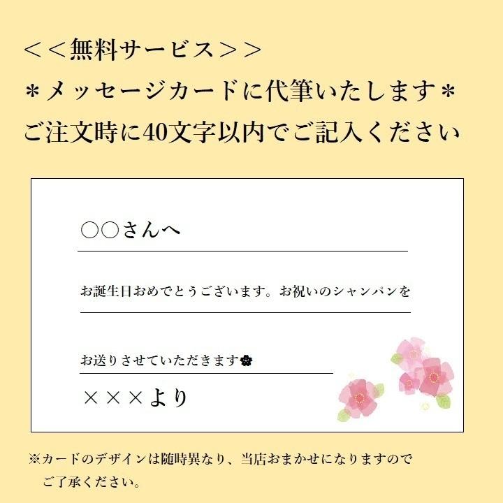 正規品 Soumeiソウメイプラチナ Boxなし ドリンク 水 お酒 Soumeiソウメイプラチナ Boxなし 750ml Wine ワイン House