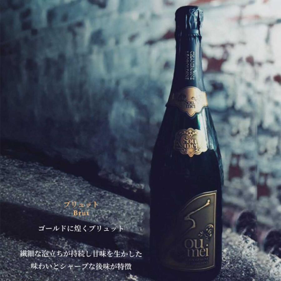 正規品>SOUMEI ソウメイ 6本セット ル・セクストゥール 750ml×6 正規品>SOUMEI ソウメイ 6本セット ル・セクストゥール 750ml×6