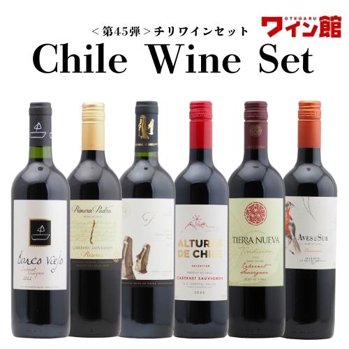 ワイン セット 【送料無料】 ＜第45弾＞ チリワイン6本セット（赤6本