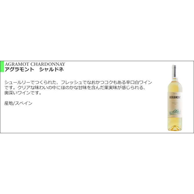 【送料無料】＜第53弾＞ 世界のシャルドネセット（白6本） |  | 02